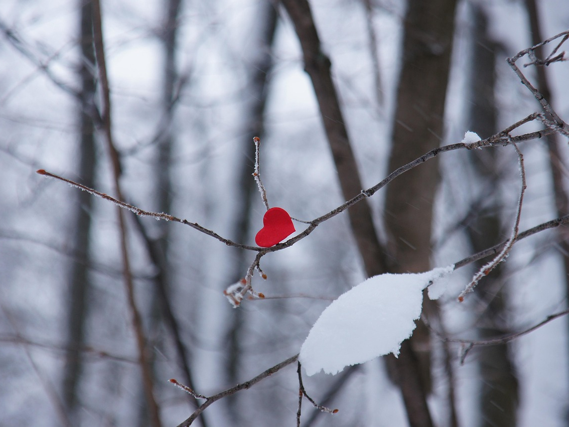 Winterherz