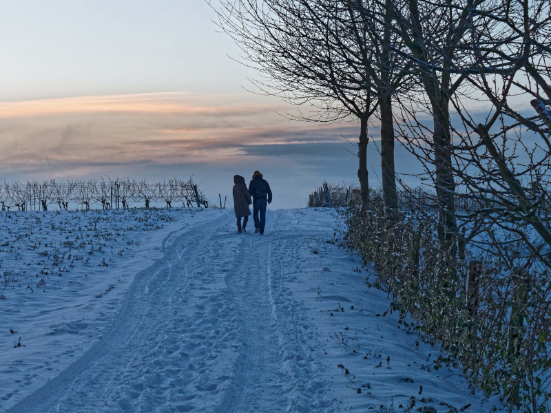Neujahrsspaziergang